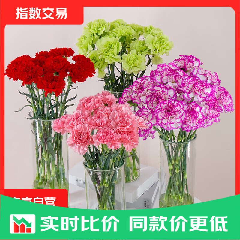 【康乃馨】鲜花云南基地直发母亲节520礼物花束多色 随机单色康乃馨10枝