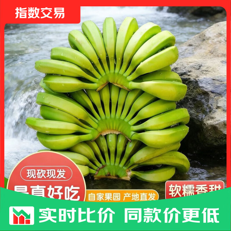 云南高山香蕉正宗甜香蕉绿皮薄皮整箱香甜现摘应季水果5 商超品质发货带箱5斤 高山青蕉发货，捏着软就可以吃，无需看颜色