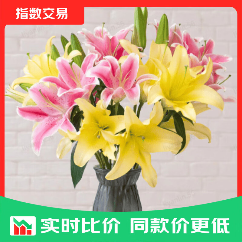 香水百合鲜花云南鲜花直发家用水养插花母亲节情人节礼物 随机香水百合混色6朵 优质百合