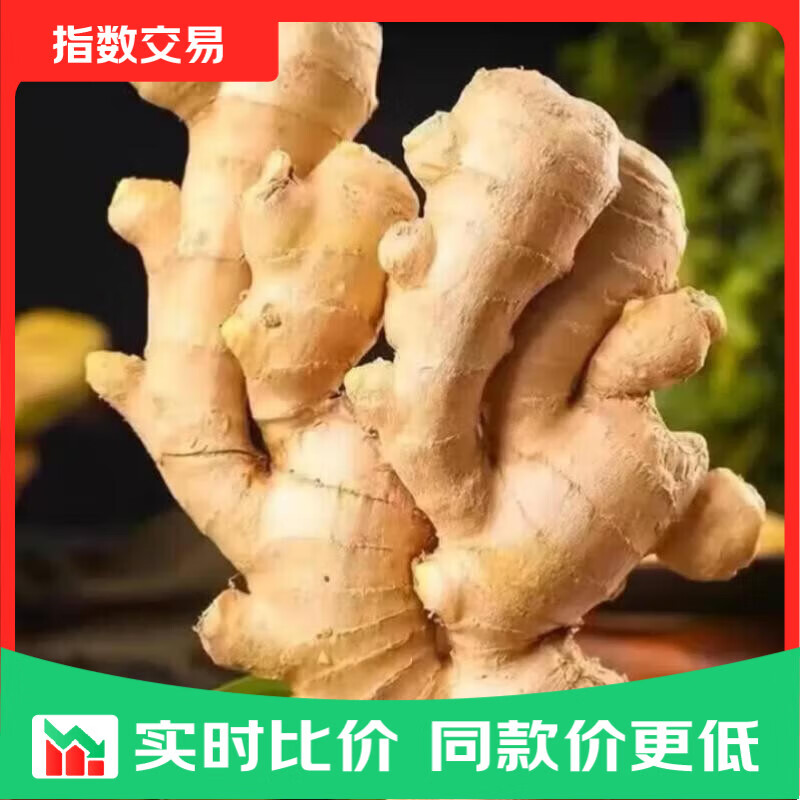 山东窖藏大黄姜新鲜生姜老姜沙姜月子姜农家现挖 3斤