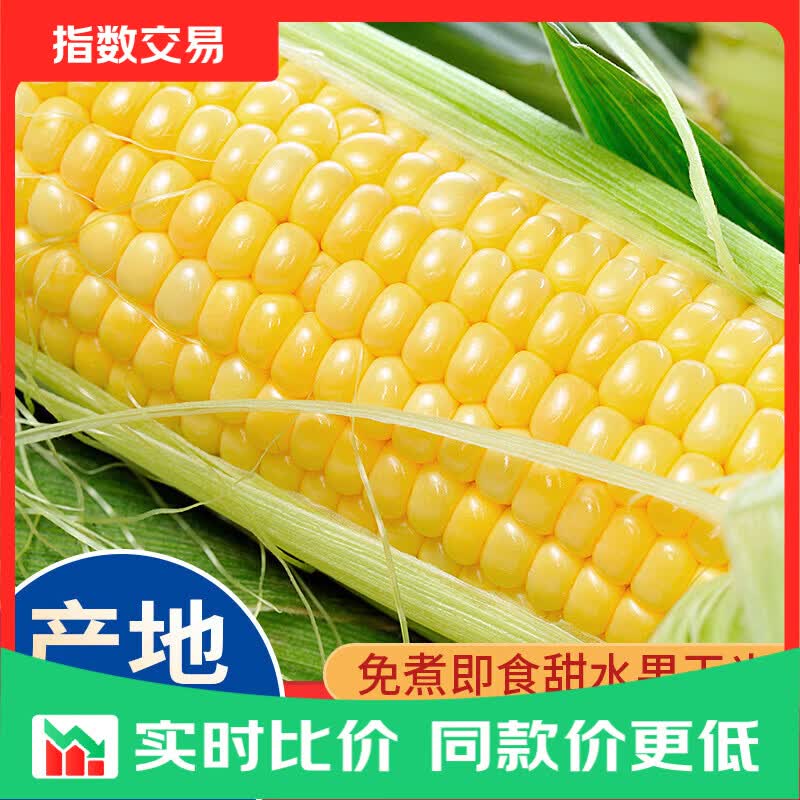 云南新鲜甜玉米水果玉米脆甜爆汁可生食新鲜采摘产地直发蔬菜早餐 5斤带箱（单根300g+）