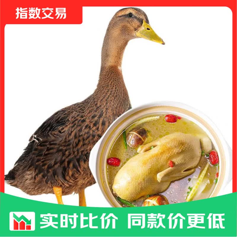 华英（HUAYING） 赣南散养生态麻鸭净重2.5斤/袋冷冻整鸭新鲜土鸭 赣南生态鸭1.25kg