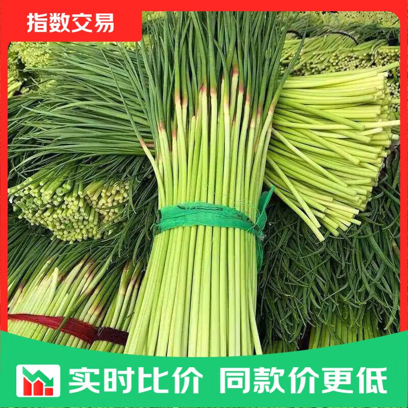 【2026新蒜苔】新鲜精品长短蒜苔鲜嫩蒜薹正宗红帽蒜苔 红帽蒜台净重4.5斤
