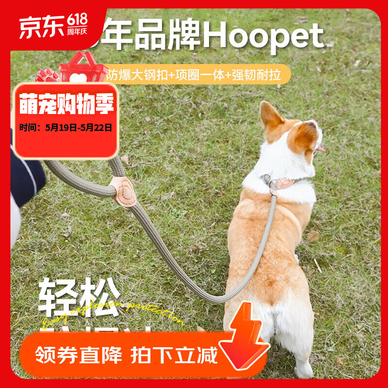 华元宠具（hoopet）狗狗绳子防爆冲P绳P链子牵引绳项圈大型中小型犬狗链防挣脱溜遛狗