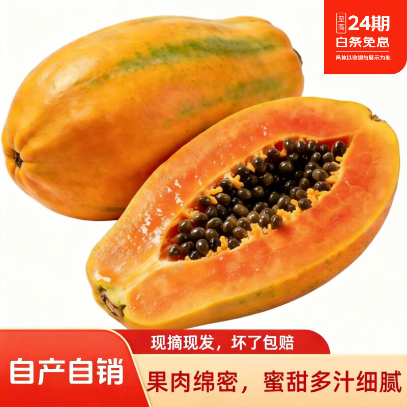 产地直供 广东红心木瓜新鲜现摘现发树上熟甜糯多汁坏果包赔 精选净重3-4斤(2-3个)