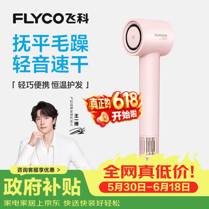 飞科（FLYCO）高速电吹风机节日礼物家用宿舍便携速干恒温负离子护发大风力吹风筒FH6370樱花粉 价保618