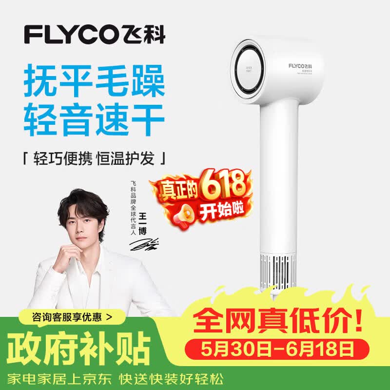 飞科（FLYCO）高速电吹风机节日礼物家用宿舍便携速干恒温负离子护发大风力吹风筒FH6370 价保618