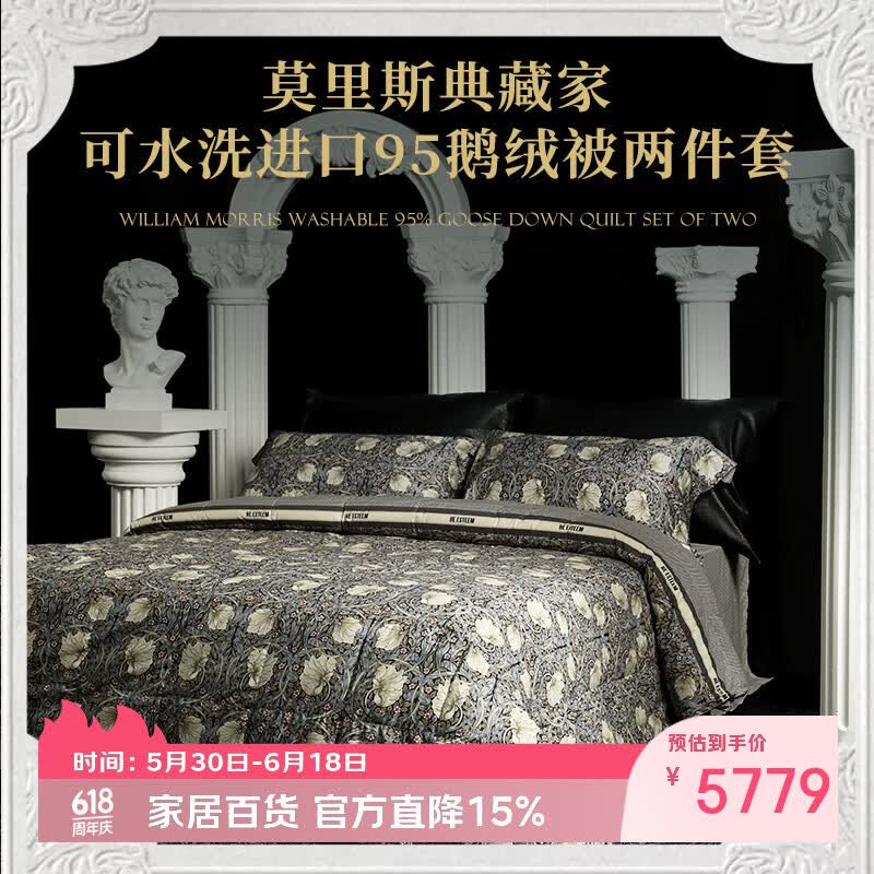 宜庭(ESTEEM)莫里斯系列可水洗鹅绒被冬被羽绒被子母被被子被芯【专柜同款】 莫里斯典藏家 220×240cm【适合1.8m床】 京东折扣/优惠券