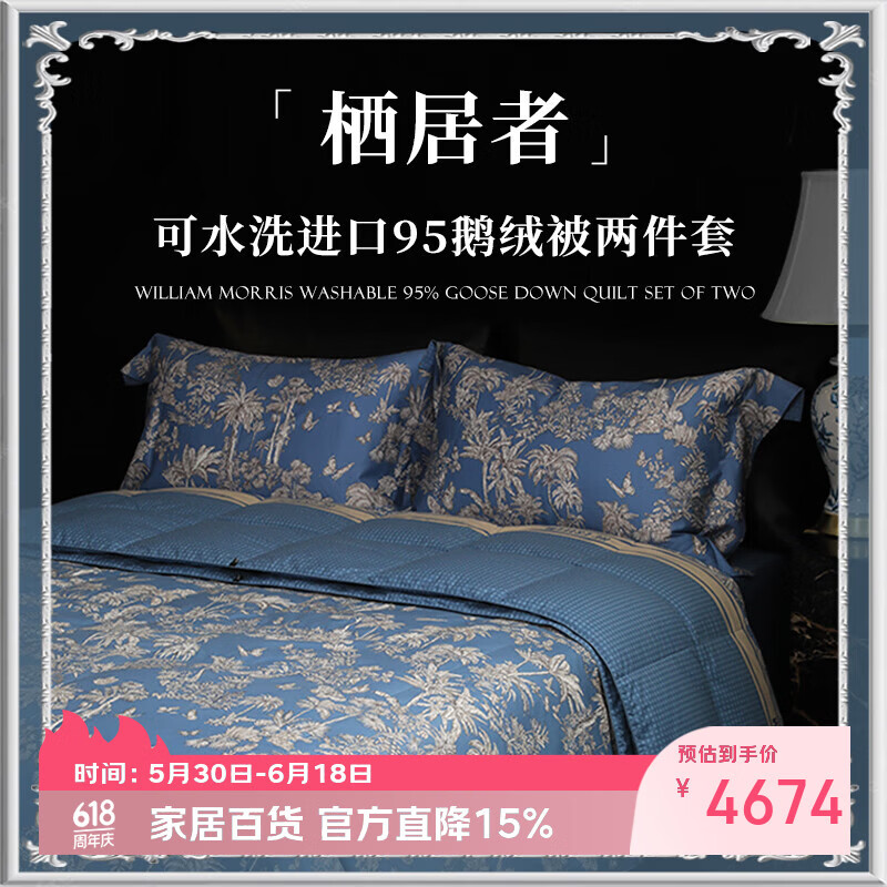 宜庭(ESTEEM)栖居者可水洗鹅绒羽绒被子母被被子春秋被夏被【专柜同款】 乌有乡蓝(子母被) 150x215cm (适合1.2m床)