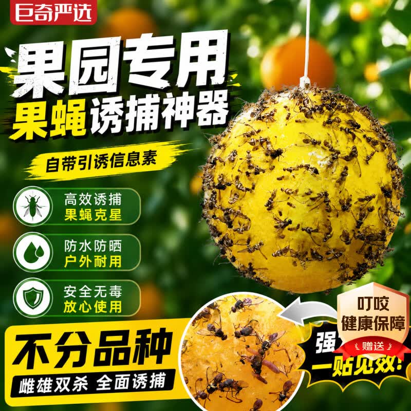 巨奇果蝇诱蝇器小飞虫诱捕器粘虫球诱虫球针蜂引诱剂强力果蝇球2个装
