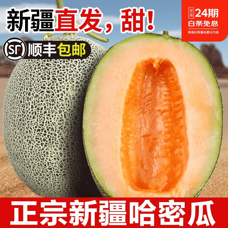正宗新疆哈密瓜整箱吐鲁番西州蜜25号网纹瓜甜瓜生鲜哈密瓜水果 净重8-9斤【精选2个瓜】香甜多汁