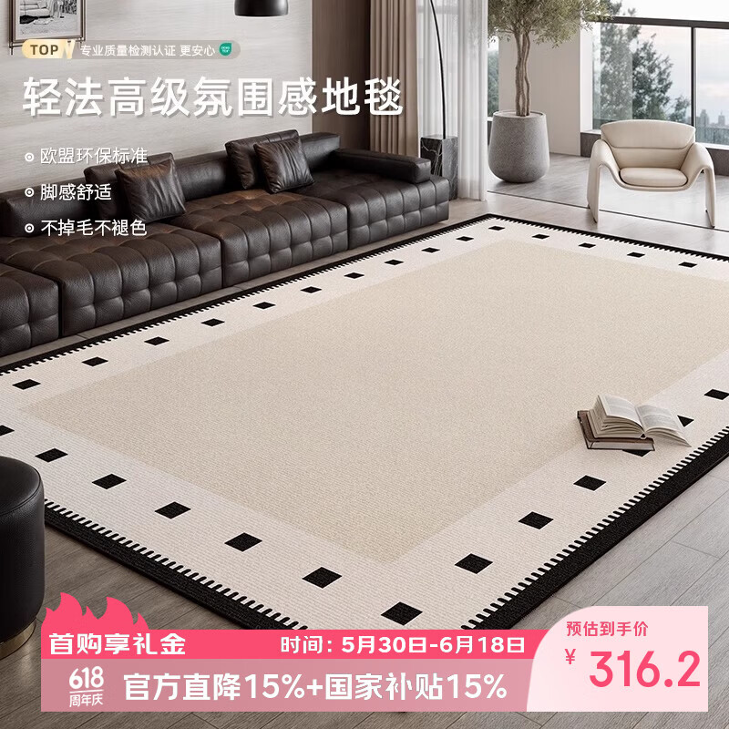 鸿荔达地毯客厅卧室2026新款床边免洗可擦房间防水免打理轻奢高级感地垫 圈绒-黑方公园-透气款 200×300cm【4人沙发通用店长推荐尺寸】 京东折扣/优惠券