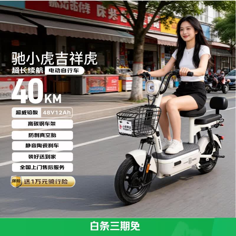 驰小虎电动自行车 吉祥虎新国标电动车电动自行车48V12Ah铅酸电池长续航电瓶车成人代步车电车白色