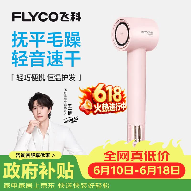 飞科（FLYCO）高速电吹风机节日礼物家用宿舍便携速干恒温负离子护发大风力吹风筒FH6370【价低头部主播9折】