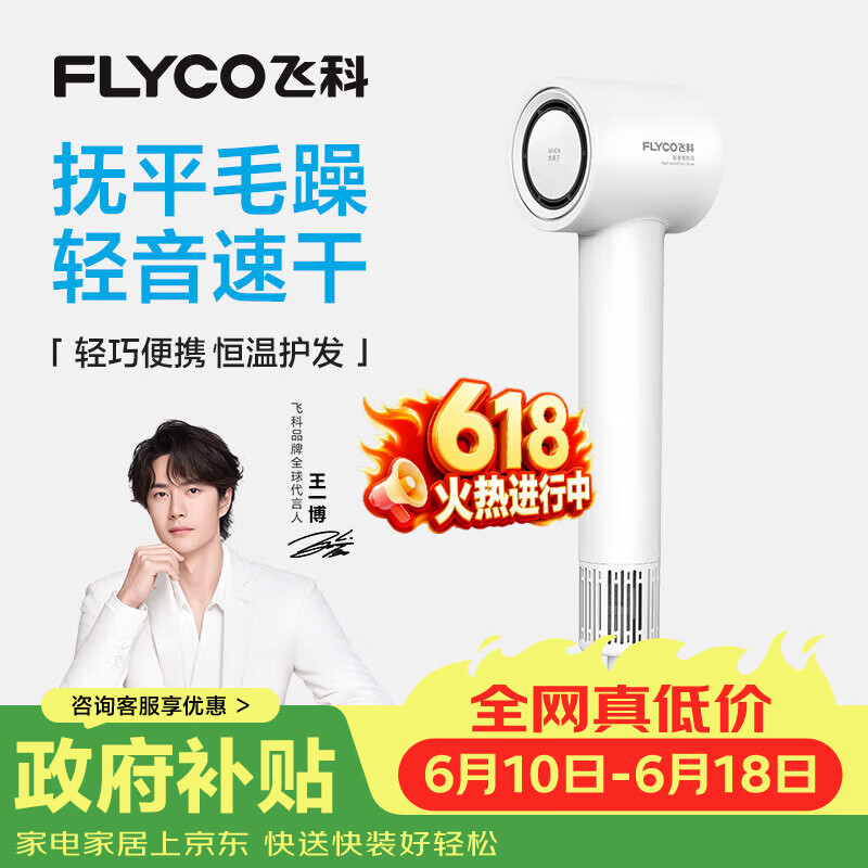 飞科（FLYCO）高速电吹风机节日礼物家用宿舍便携速干恒温负离子护发大风力吹风筒FH6370 【价低头部主播9折】