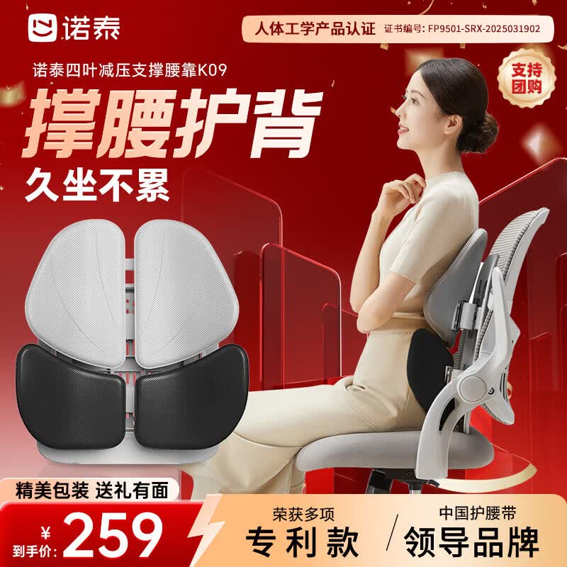 诺泰（nuotai）人体工学腰靠办公室护腰久坐神器汽车靠背垫座椅腰部支撑腰托K09