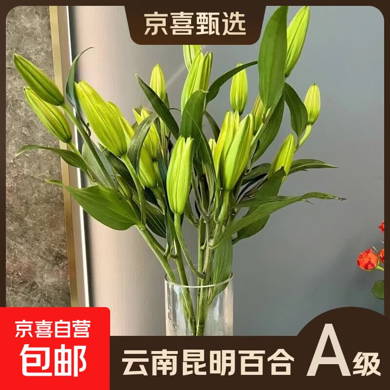 A级百合鲜花云南昆明基地直发混搭七夕节礼物家居摆件供佛 随机特价百合9朵（不指定品种颜色）