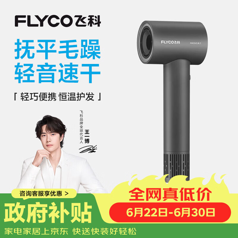 飞科（FLYCO）高速吹风机家用宿舍便携速干降噪负离子护发大风力节日礼物电吹风筒FH6370太空灰