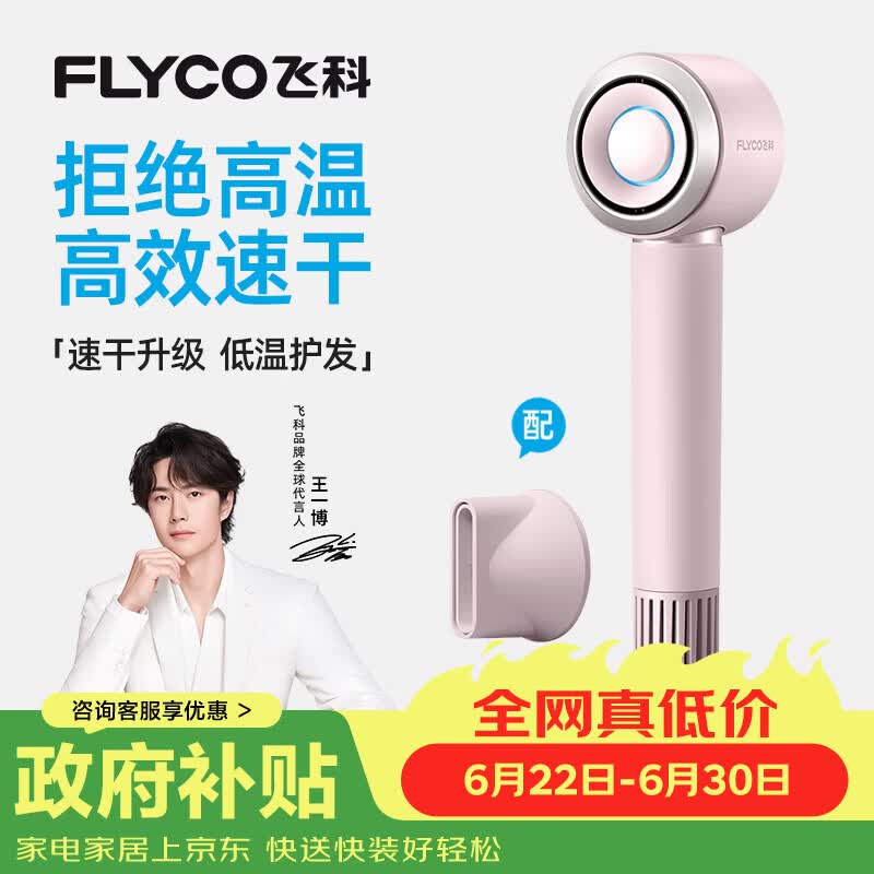飞科（FLYCO）【王一博推荐】高速电吹风机 节日礼物家用便携出行必备速干负离子护发吹风筒FH6371钻石粉
