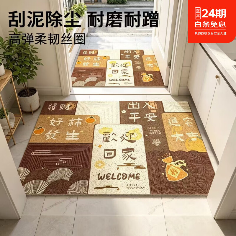 雨萱入户地垫门口脚垫家用进门垫玄关防滑防水门垫卧室客厅加厚地毯垫 好柿发生【丝圈】 80cm*120cm 京东折扣/优惠券