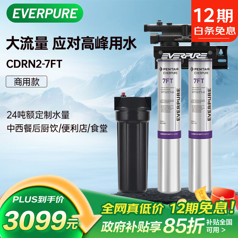 爱惠浦（Everpure）厨房餐饮现调用水 即滤即饮0电0废水 9.46升/分钟 24吨超大制水量 商用净水器CDRN2-7FT