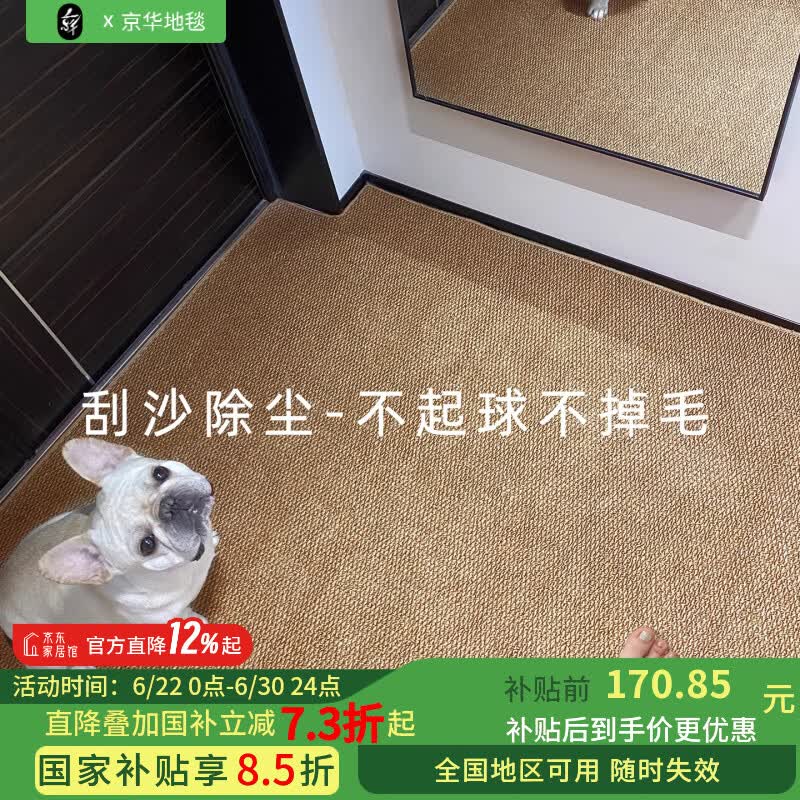京华仿剑麻入户地垫防滑地毯家用门口进门吸水脚垫可裁剪机洗轻奢高级 乌织墨 100cm*140cm 防水耐污