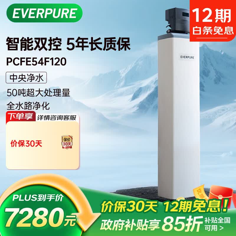 爱惠浦（Everpure）全屋中央净水器  家用全屋电子控制净水机 2.6吨/小时 50吨大通量过滤器 PCFE54F120