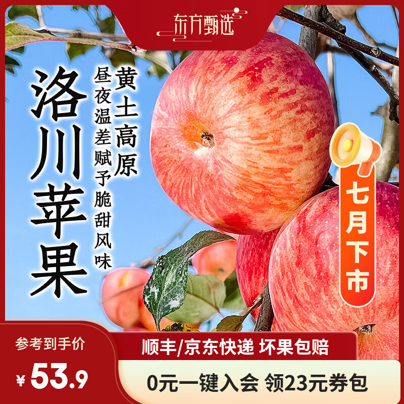 东方甄选洛川苹果水果新鲜当季整箱时令生鲜脆甜多汁4斤-8.5装 5斤（中果200g+ 8-12个）