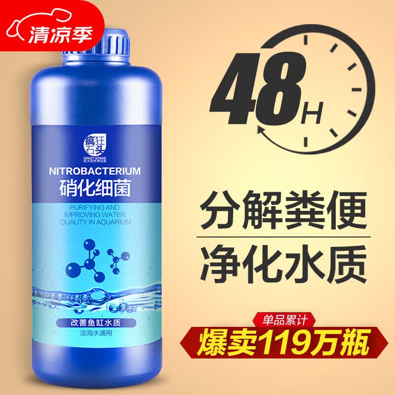 疯狂石头鱼缸活性硝化细菌 鱼池净化水质分解鱼便【硝化细菌600ML装】