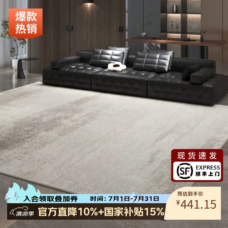 像素地毯客厅轻奢高级免洗可擦2026新款意式极简卧室地垫家用防水防污 泊雾-22312 200cm*300cm 【隔音隔凉|适合3人或L型沙发】