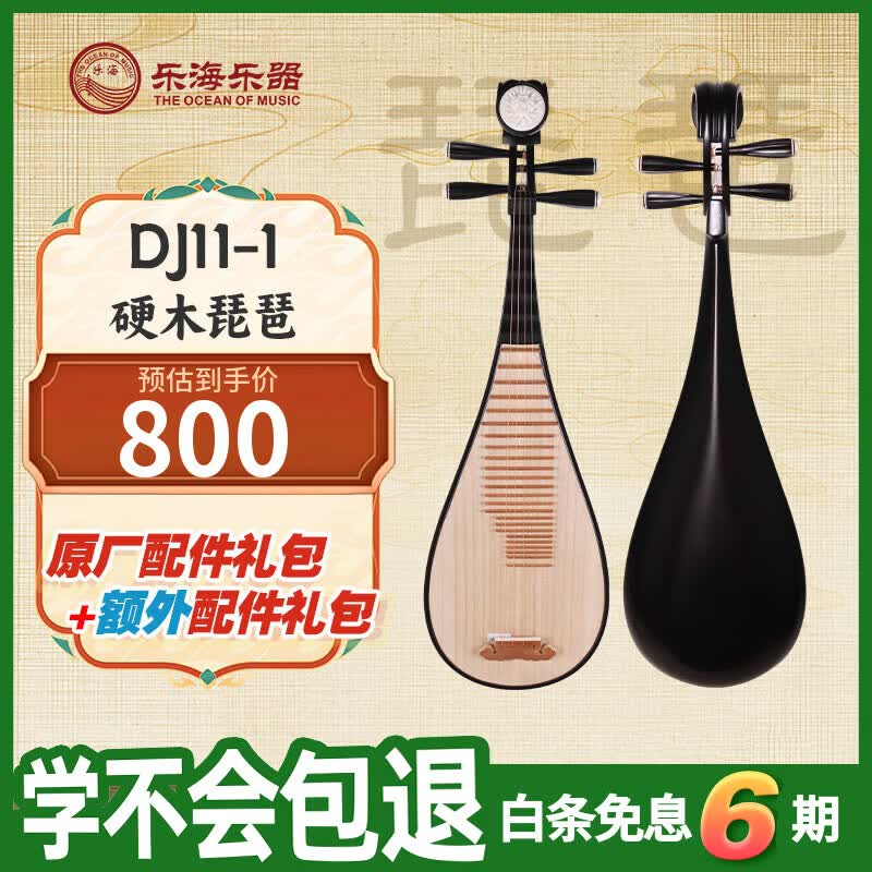 乐海（THE OCEAN OF MUSIC）硬木深红色花开富贵头饰初学练习演奏成人款 硬木琵琶DJ11-1