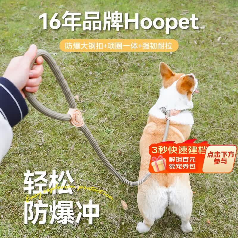 华元宠具（hoopet）狗狗绳子防爆冲P绳P链子牵引绳项圈大型中小型犬狗链防挣脱溜遛狗