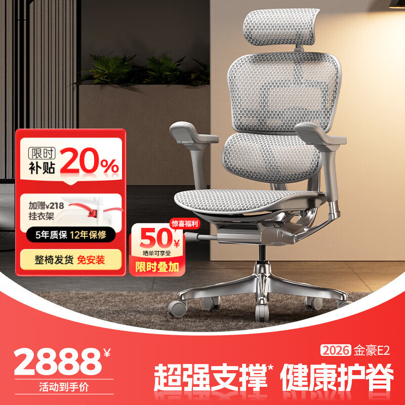 Ergonor保友金豪E2人体工学椅 超强支撑 健康护脊 办公椅电脑椅电竞椅子 【限时补贴】银白色