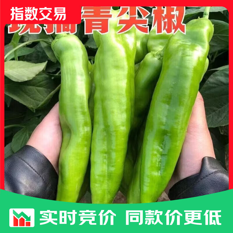 山东新鲜青尖椒虎皮椒现摘现发微辣辣椒蔬菜 整箱2斤现摘现发