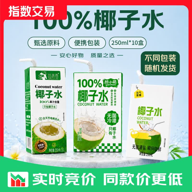 100%椰子水 果汁饮料 椰子汁250ml*10盒装 1箱