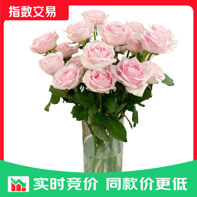 京东鲜花云南昆明基地随机色玫瑰买10枝送10枝鲜花源头直发 玫瑰20枝送10枝配草