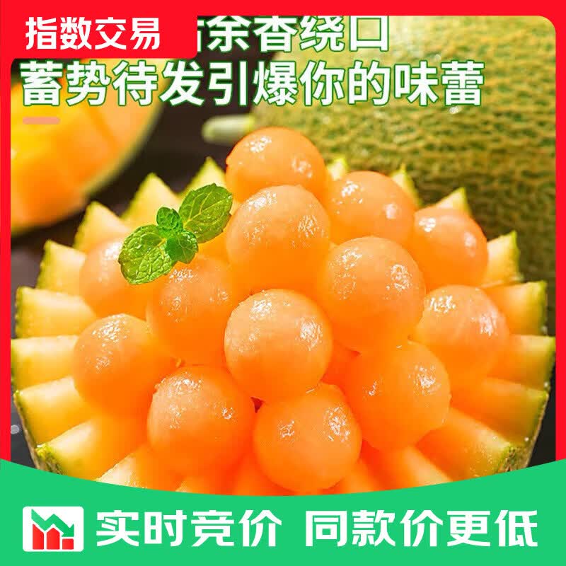 正宗海南沙地哈密瓜玫珑蜜瓜当季新鲜冰淇淋网纹瓜 带箱9-10斤【3-4个瓜】