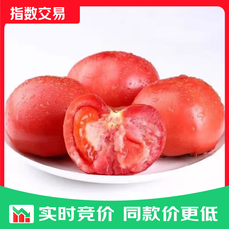 新鲜沙瓤番茄生吃西红柿减肥早餐即食新鲜蔬菜生鲜 囤货装 5斤 带箱