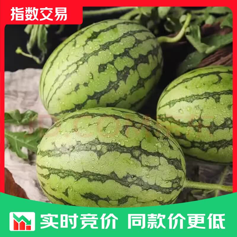 山东正宗头茬2k手剥皮小西瓜薄皮新鲜冰激凌小糖丸超甜手撕小吊瓜 净重1.5-2斤 手撕小西瓜