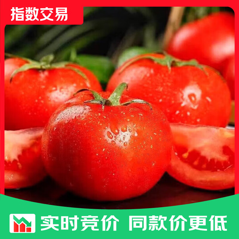 沙瓤番茄西红柿水果柿子新鲜应季现摘现发 炒菜炖汤生吃酸甜多汁 沙瓤番茄 2斤