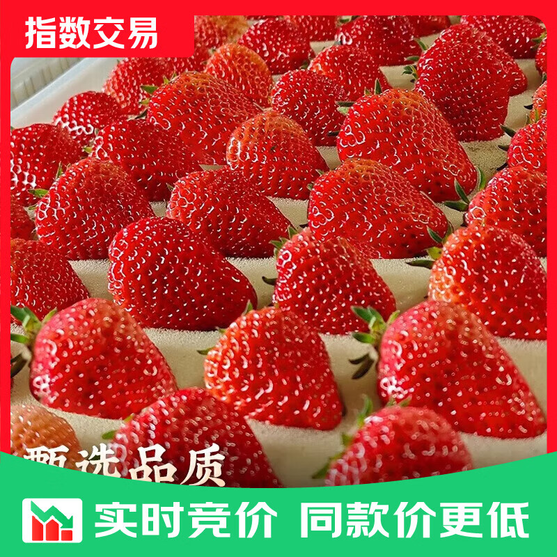 大凉山红颜草莓99牛奶油草莓非丹东草莓水果礼品年货 4盒礼箱装【80%人选-自食推荐】 单盒净重（200g-300g）【单果12g+】