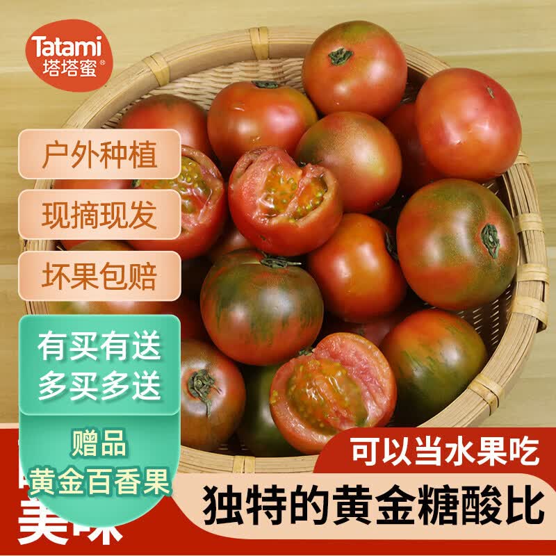 【塔塔蜜,顺丰包邮】七彩云南草莓番茄水果番茄沙瓤番茄生鲜特产 草莓(水果)番茄60-90大果 4.5斤