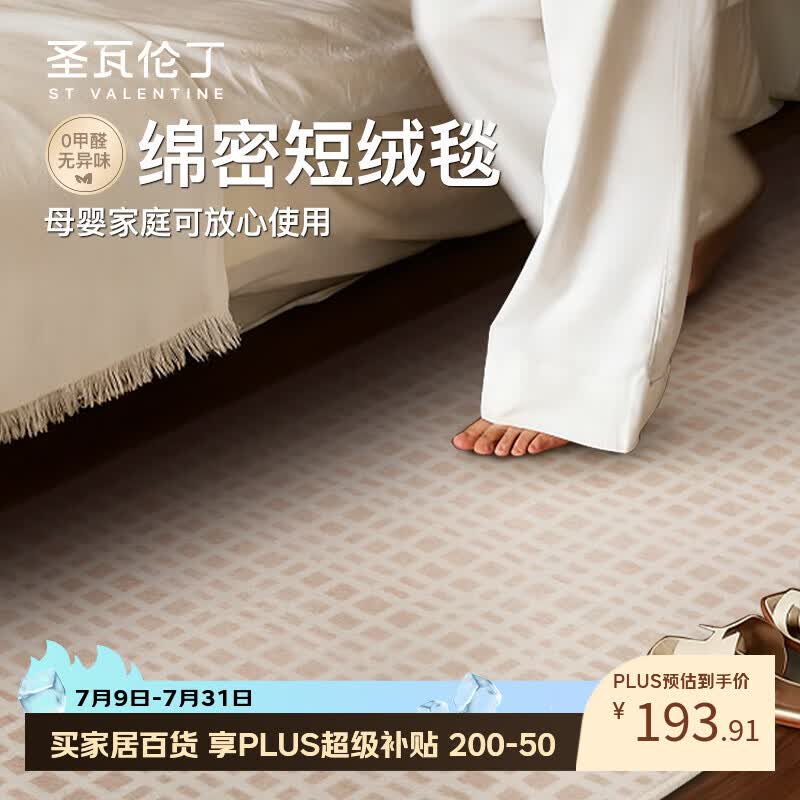 圣瓦伦丁床边地毯卧室地垫可睡沙发客厅免洗可擦轻奢高级感加厚 80*180cm