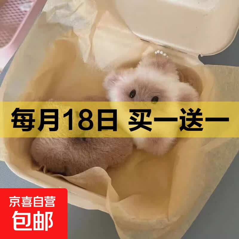 卡皮巴拉玩偶吱吱叫女孩情侣款挂件饰品书包钥匙扣生日礼物送女友 星星灰白色（1个）