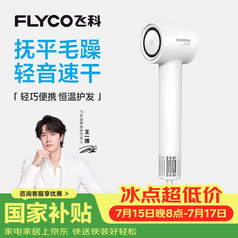 飞科（FLYCO）高速电吹风机节日礼物家用宿舍便携速干恒温负离子护发大风力吹风筒FH6370