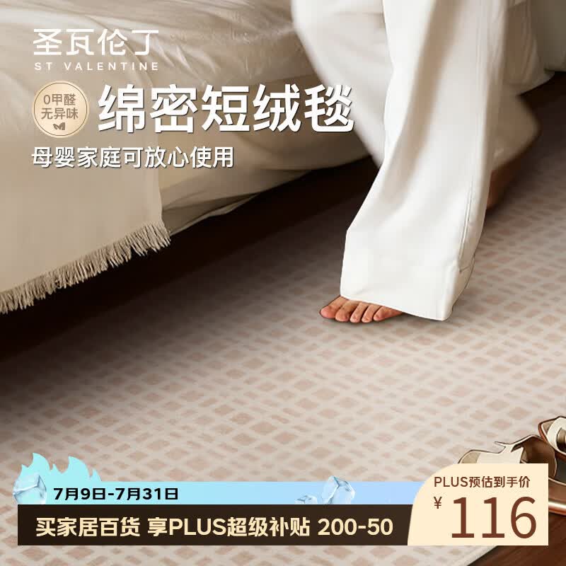 圣瓦伦丁地毯卧室床边地毯床前客厅地垫可睡飘窗垫防滑加厚地毯 80*160cm