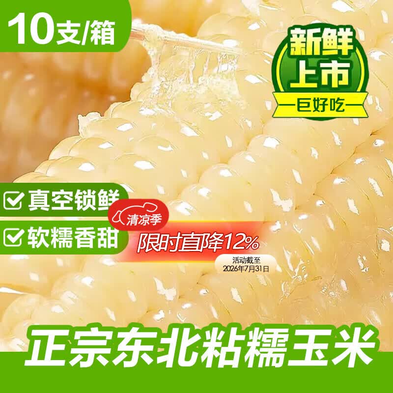 秋禾谷东北白糯玉米非即食苞米甜糯新鲜玉米棒真空包装非转基因 头茬白糯玉米10支 【单支200g以上】 京东折扣/优惠券
