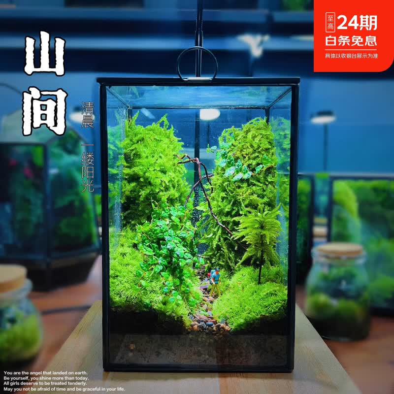 封茗网红趣味桌面绿植摆件苔藓微景观生态缸懒人养护生态闷养盒创意 【山间】