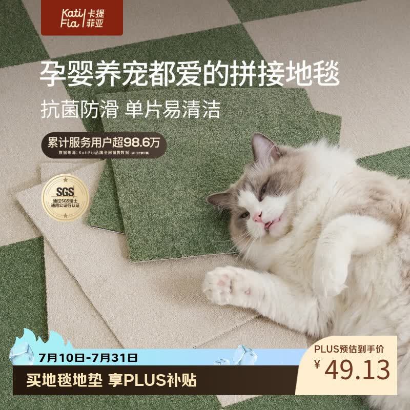 卡提菲亚宠物拼接地毯客厅卧室新款可拆洗家用满铺块毯方块垫 春芽绿 40cm*40cm