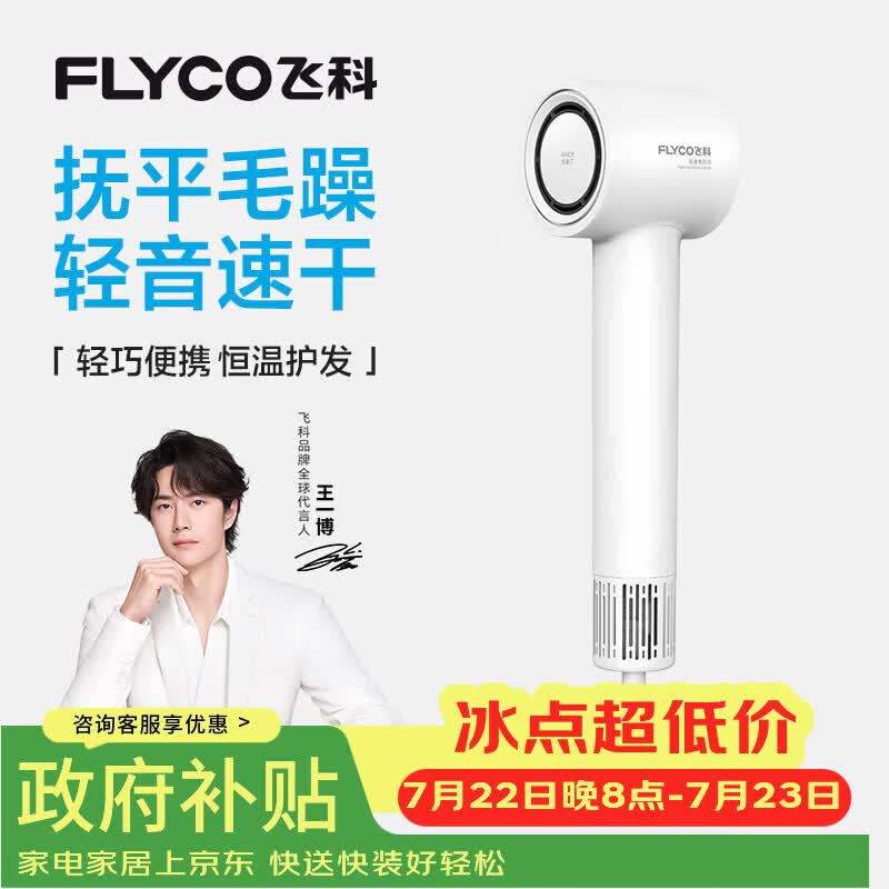 飞科（FLYCO）高速电吹风机节日礼物家用宿舍便携速干恒温负离子护发大风力吹风筒FH6370